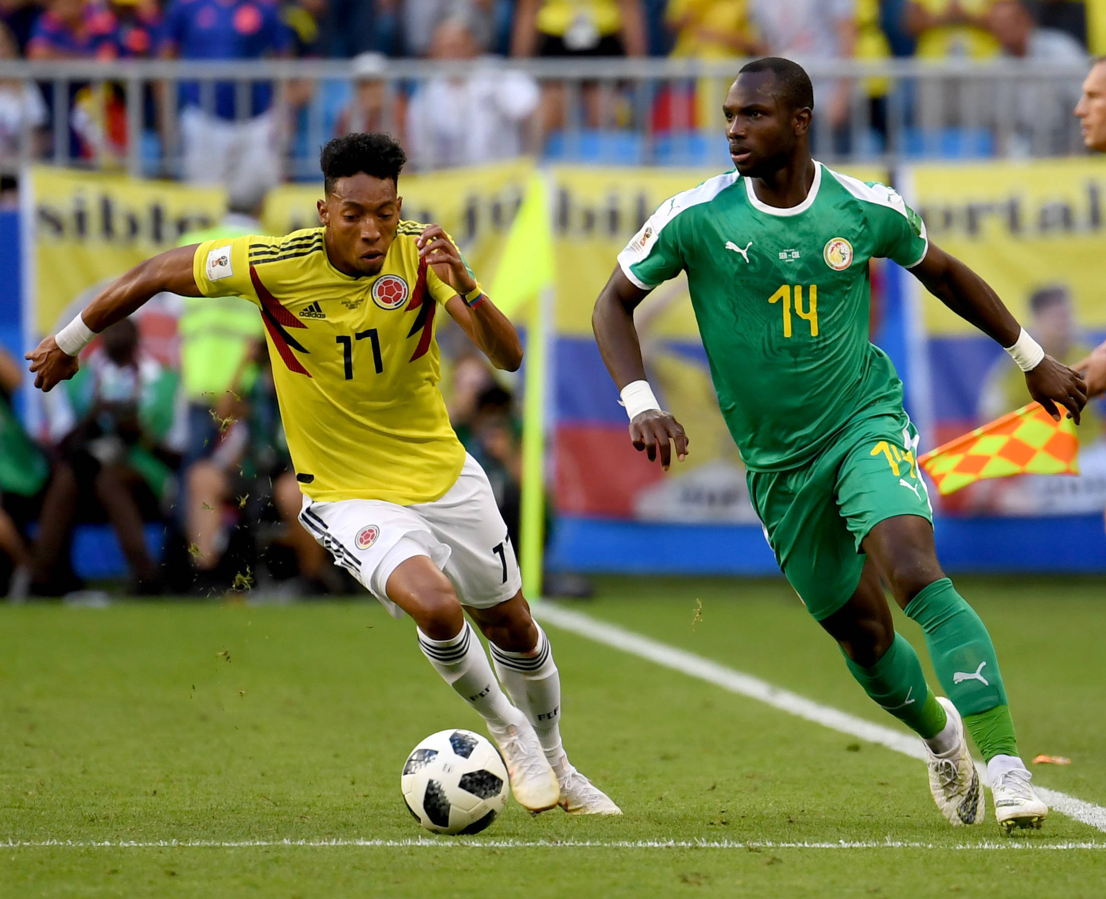 仿佛早已习 仿佛早已习