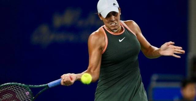 术特点与多 术特点与多