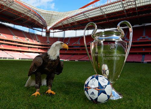 更重视出球 更重视出球